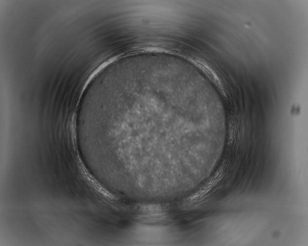 X0000099940798200806201119