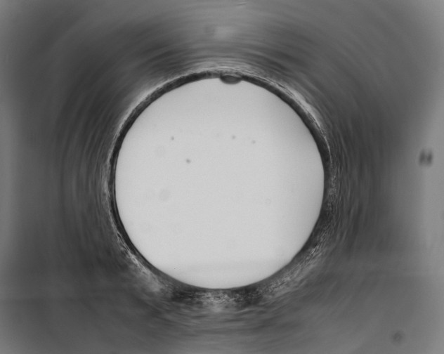 X0000099940799200806201119