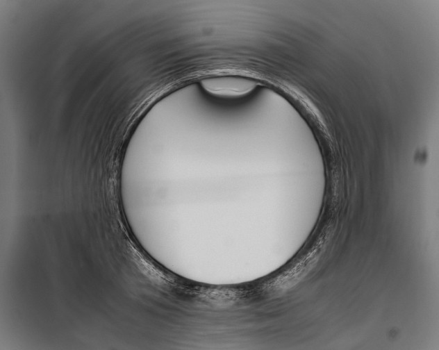 X0000099940801200806201119