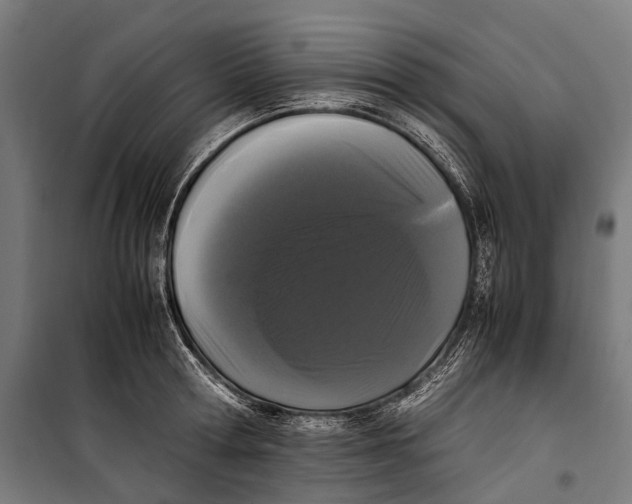 X0000099940802200806201119