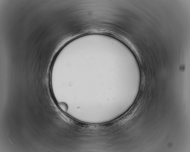 X0000099940803200806201119