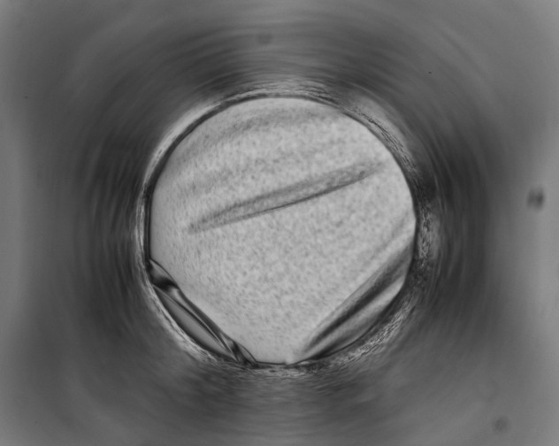 X0000099940804200806201119