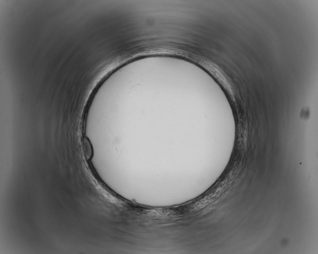 X0000099940805200806201119