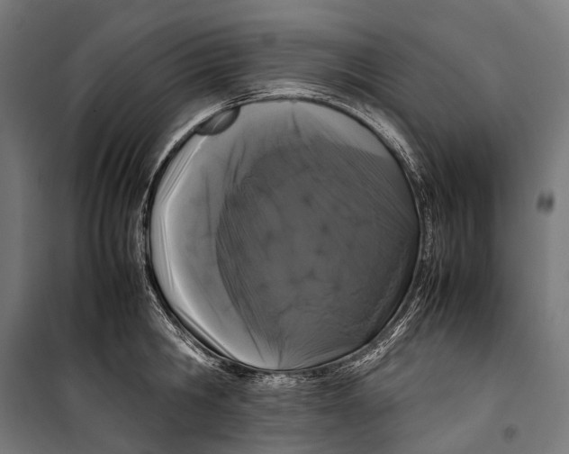 X0000099940806200806201119