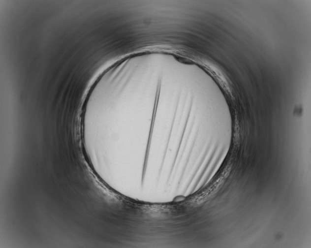 X0000099940808200806201119