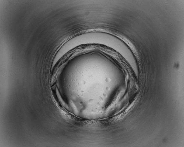 X0000099940809200806201119
