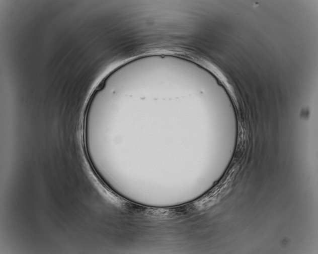 X0000099940811200806201119