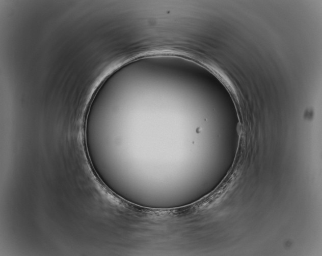 X0000099940813200806201119