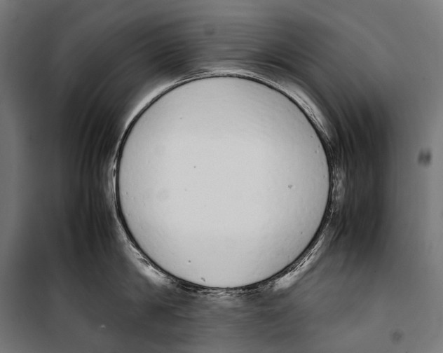 X0000099940814200806201119