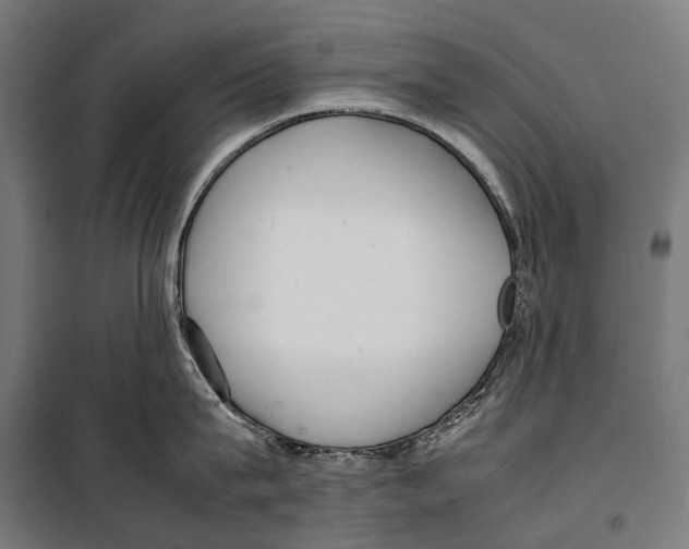 X0000099940815200806201119