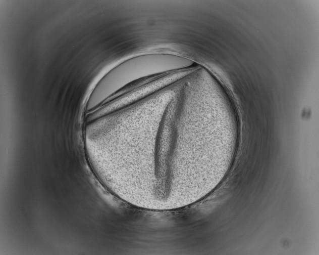 X0000099940816200806201119
