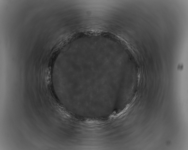 X0000099940818200806201118