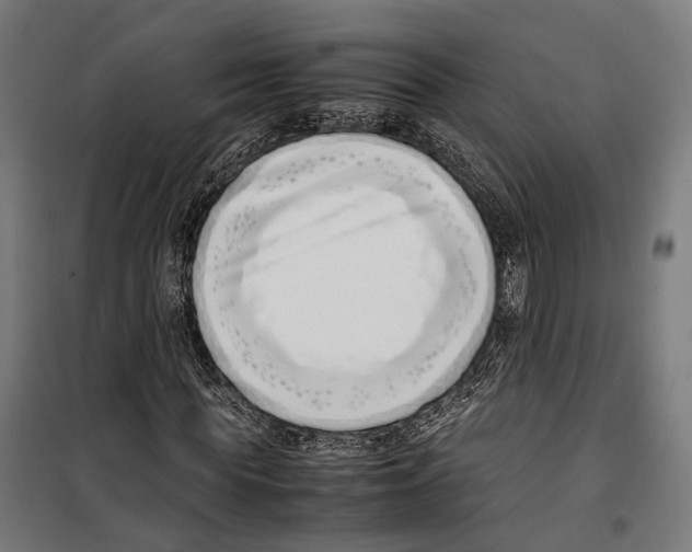 X0000099940819200806201118