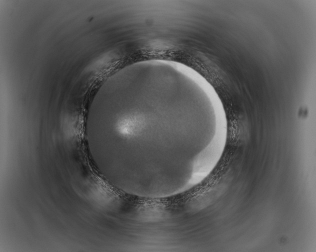 X0000099940820200806201118
