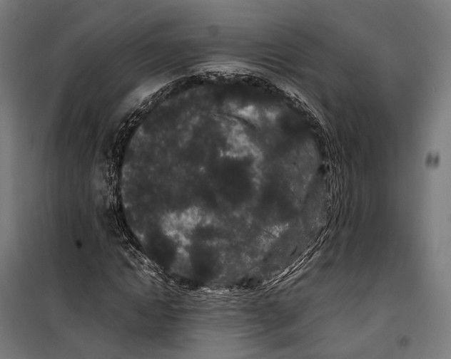X0000099940822200806201118
