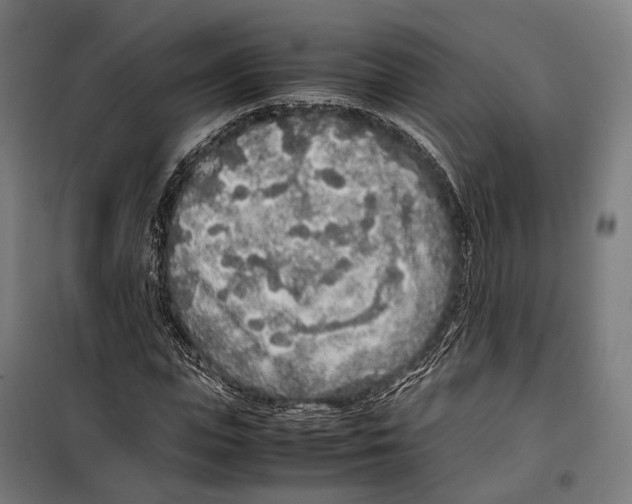 X0000099940823200806201118