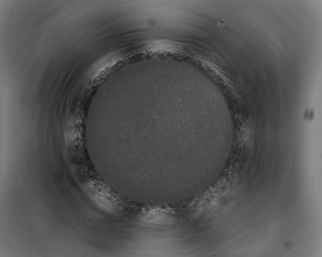X0000099940824200806201118