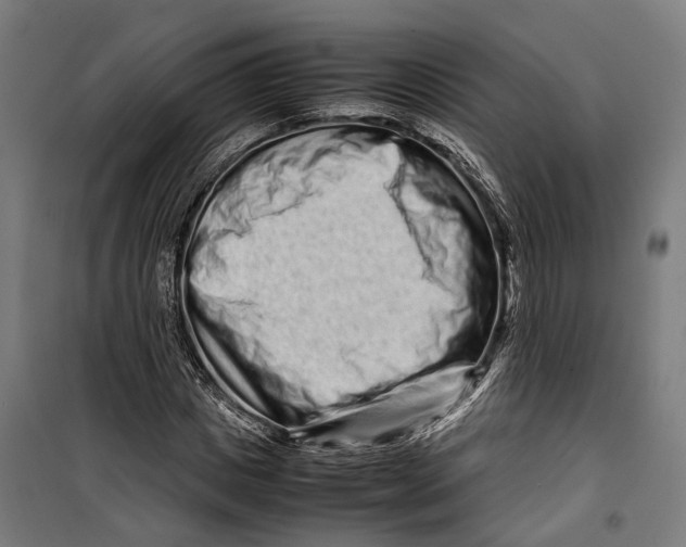 X0000099940825200806201118