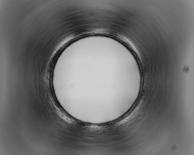 X0000099940827200806201118