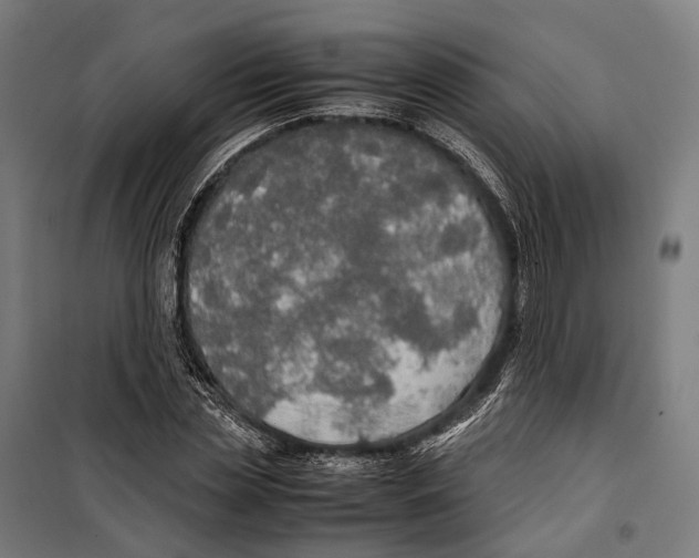 X0000099940829200806201118
