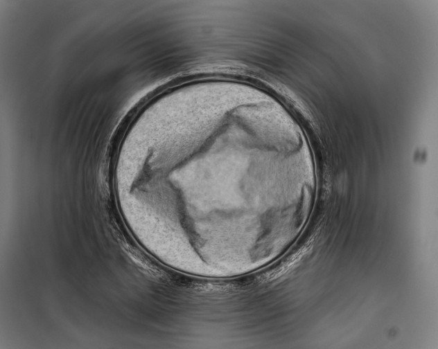 X0000099940830200806201118