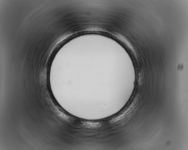 X0000099940831200806201118