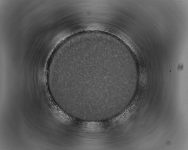 X0000099940832200806201118