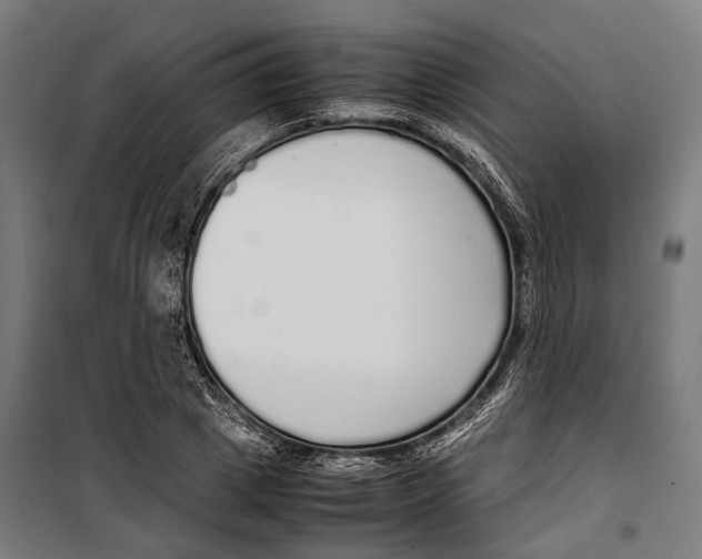 X0000099940833200806201118