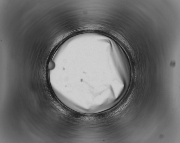 X0000099940834200806201118