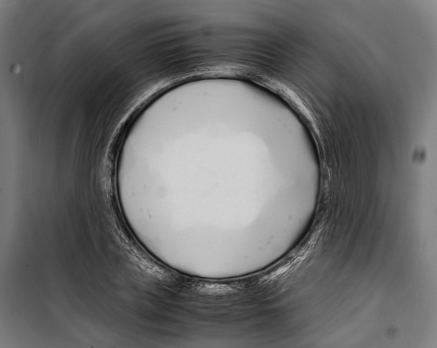X0000099940835200806201118