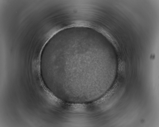 X0000099940836200806201118