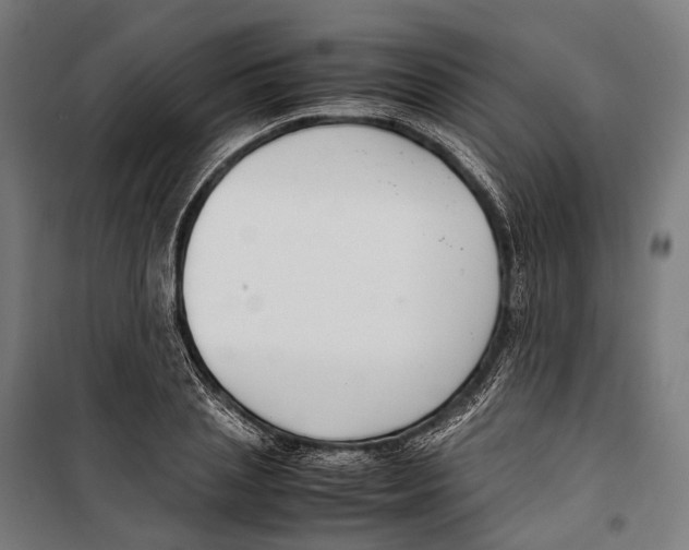 X0000099940837200806201118