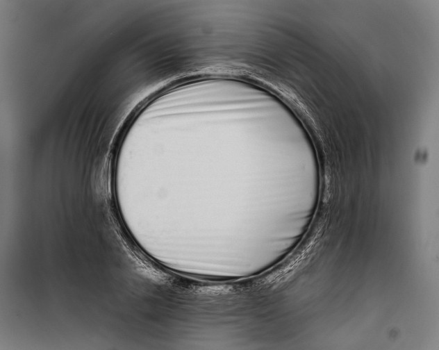 X0000099940838200806201118