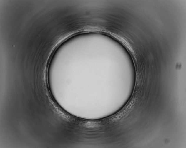 X0000099940839200806201118