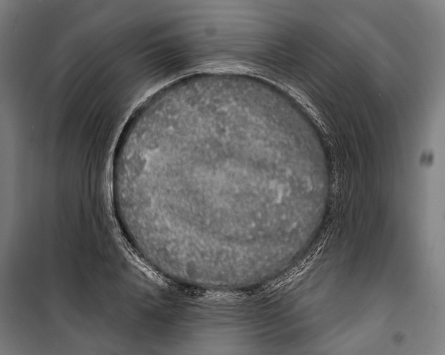 X0000099940840200806201118