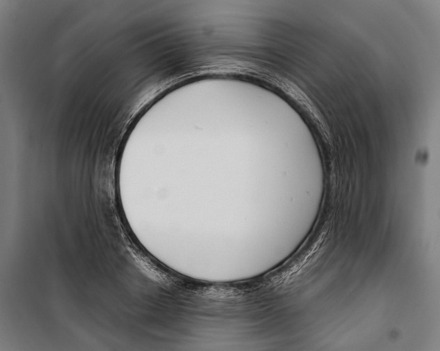 X0000099940842200806201118