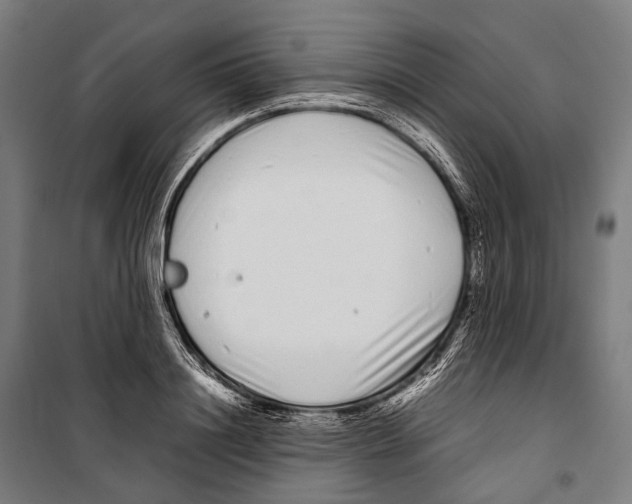 X0000099940844200806201118