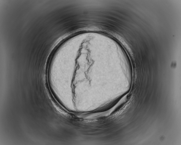 X0000099940845200806201118