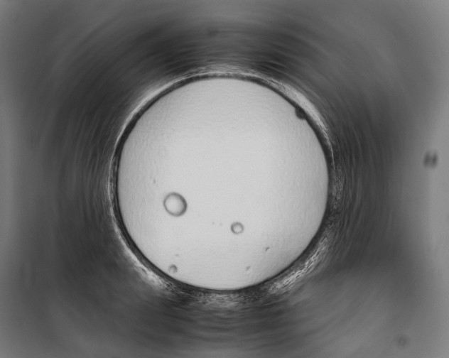 X0000099940847200806201118