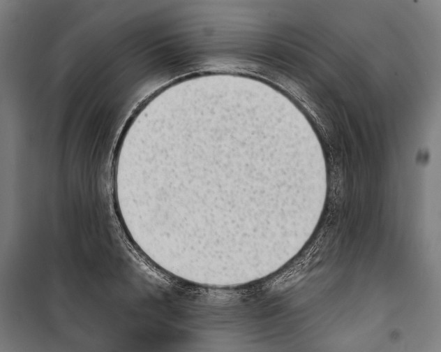 X0000099940848200806201118