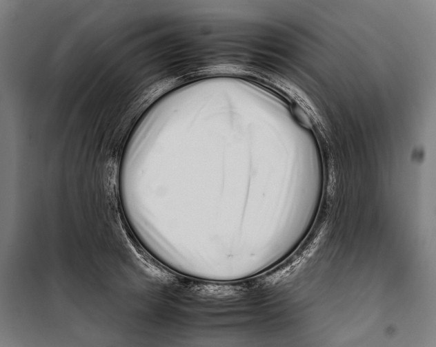 X0000099940849200806201118