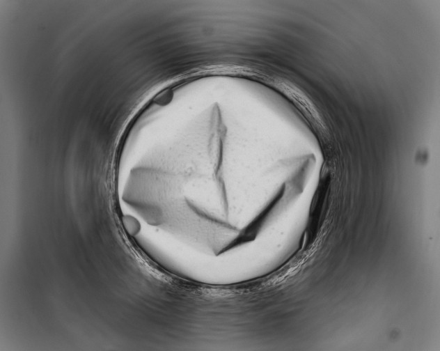 X0000099940852200806201118