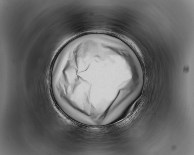 X0000099940855200806201119
