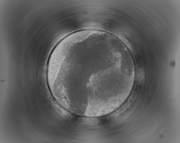 X0000099940856200806201119