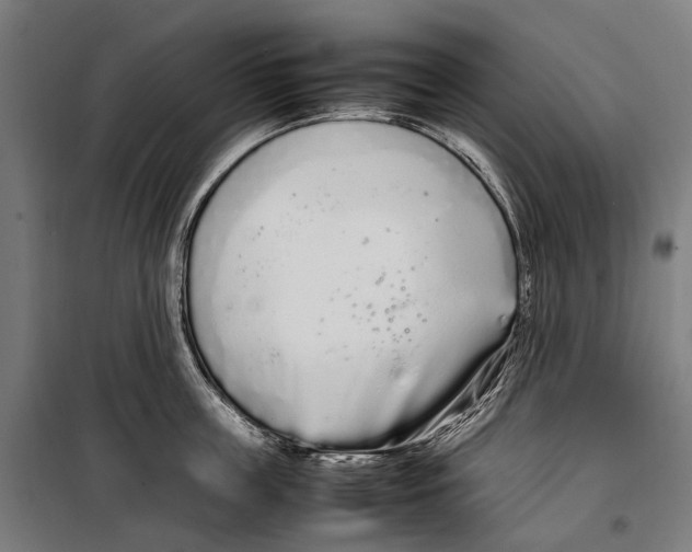 X0000099940859200806201119