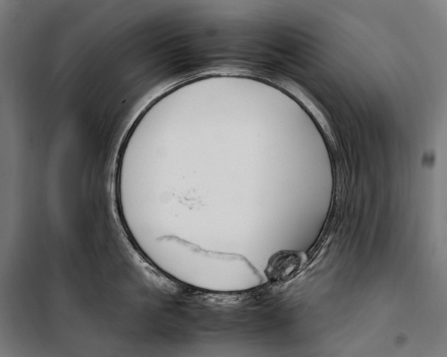 X0000099940861200806201119