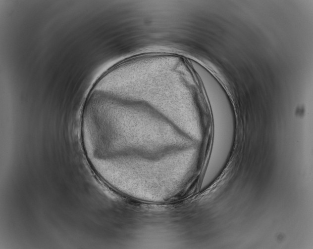 X0000099940862200806201119