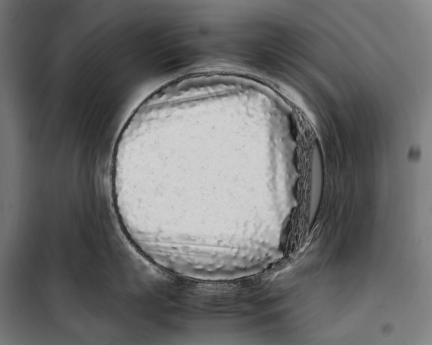 X0000099940863200806201119