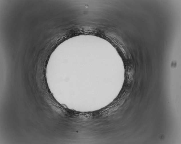 X0000099940865200806201118