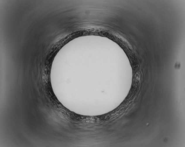 X0000099940869200806201118